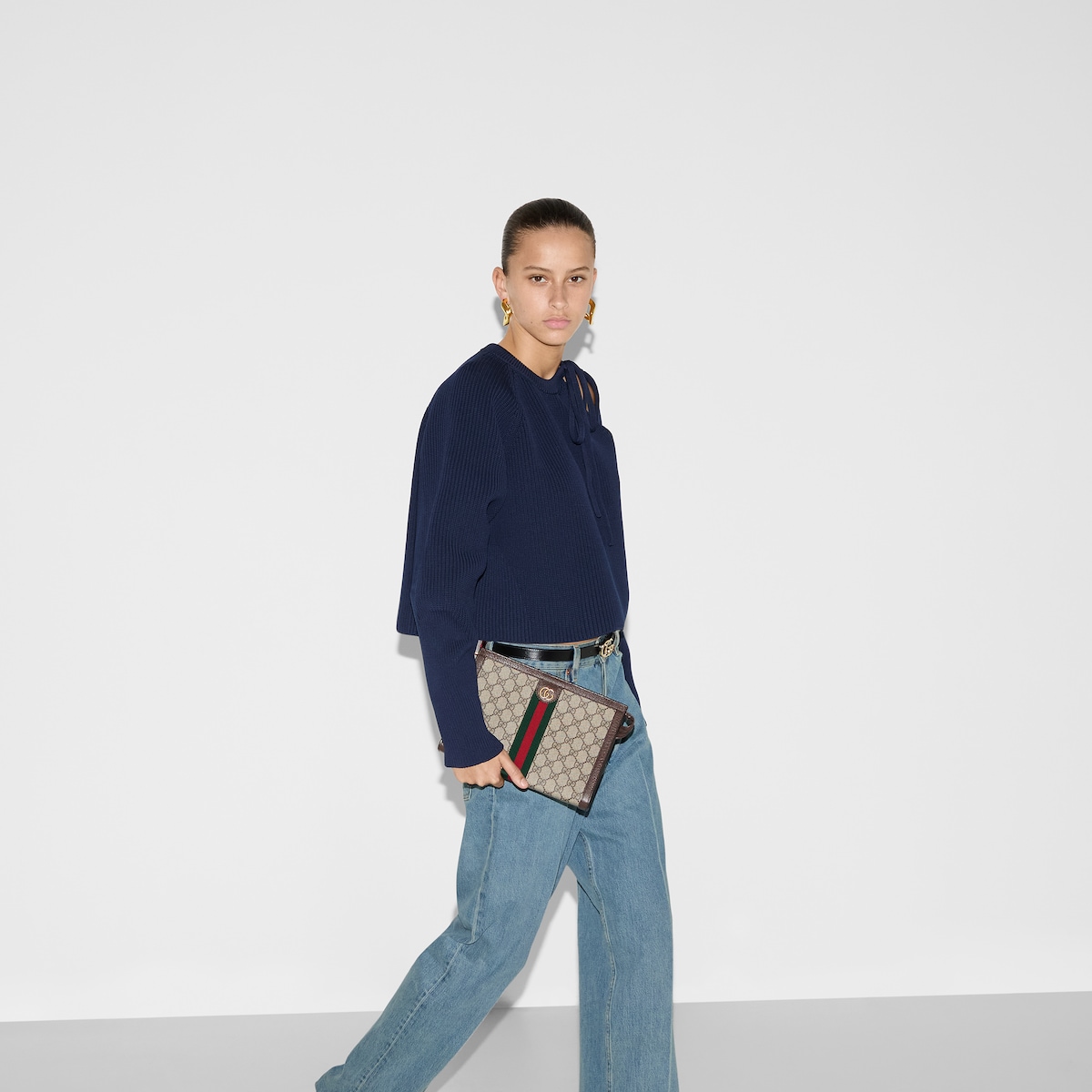760243_96IWT_8745_003_100_0000_Light-Ophidia-small-pouch.jpg